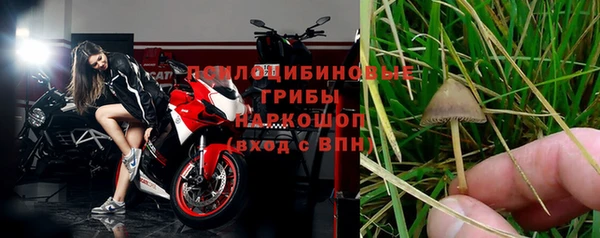 дурь Краснотурьинск