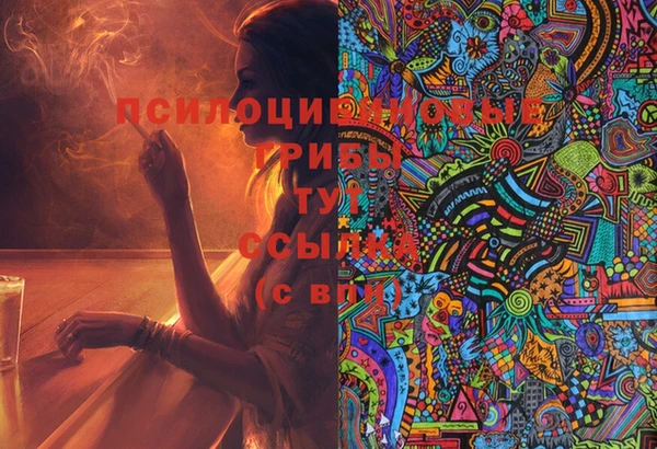 дурь Краснотурьинск