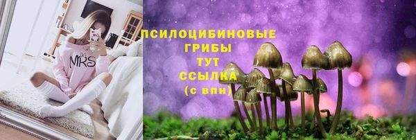 спайс Краснослободск