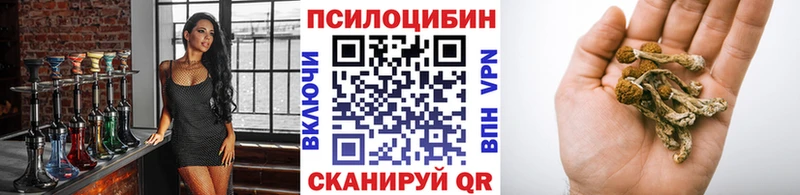 мега сайт  Вилюйск  Псилоцибиновые грибы прущие грибы  хочу наркоту 